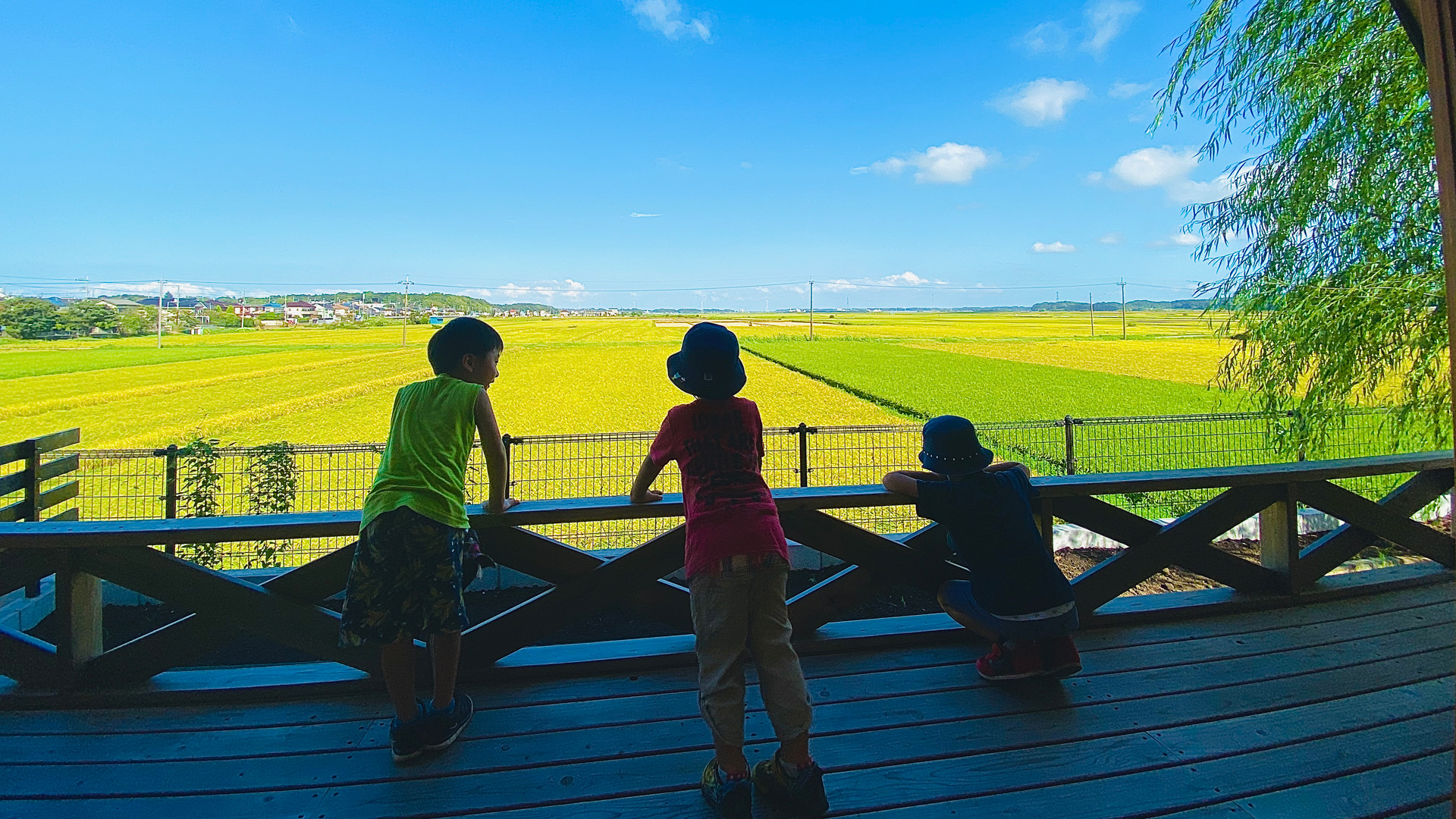 湖北白ばら幼稚園 - 千葉県我孫子市